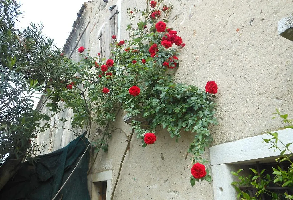 Albergo Mio-1